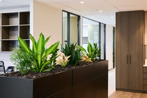 251205_True Fit Outs_BBW_0G9A8869