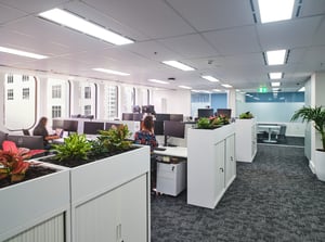 260505_True_Independant Schools NSW8700
