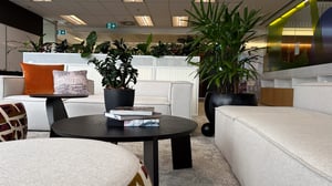 20250123_221330051_iOS